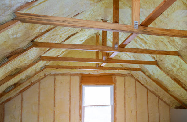 Best Insulation Maintenance and Repair in Norco, LA