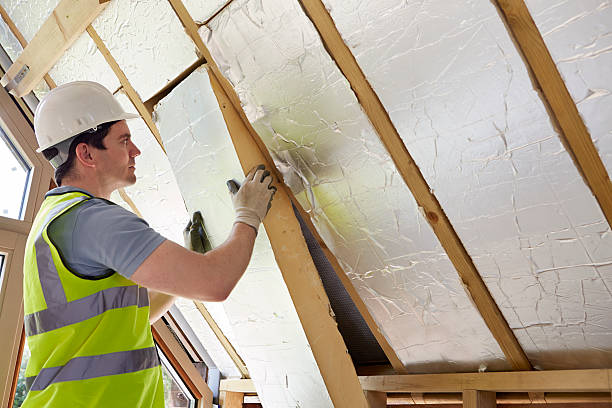 Best Specialized Insulation Services in Norco, LA