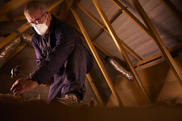 Best Blown-in Insulation in Norco, LA