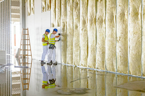 Best Cellulose Insulation in Norco, LA
